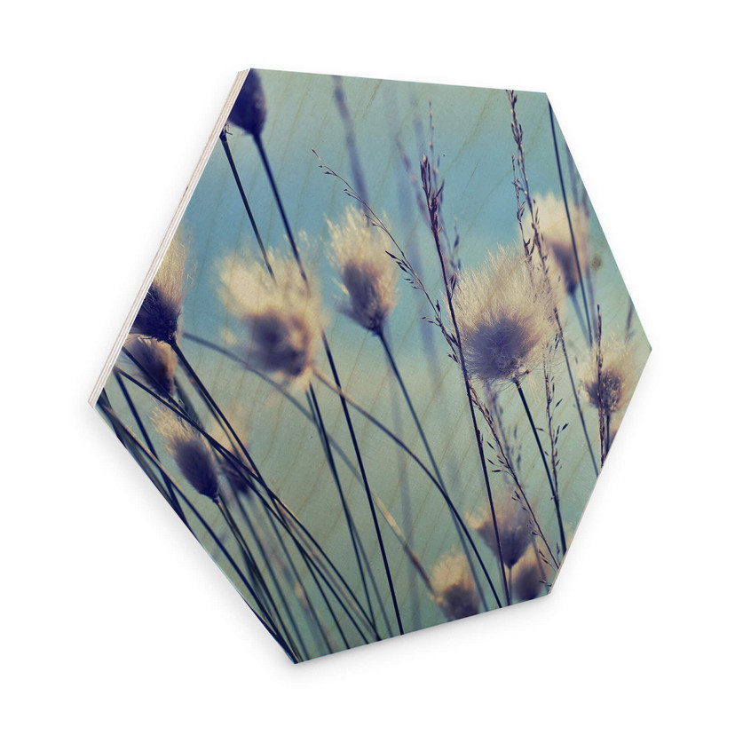 Hexagone - Placage bois de bouleau Delgado - Fleurs dans le vent
