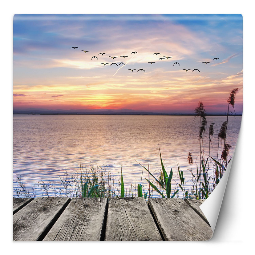 Fototapete, Rosa Himmel Steg Wasser