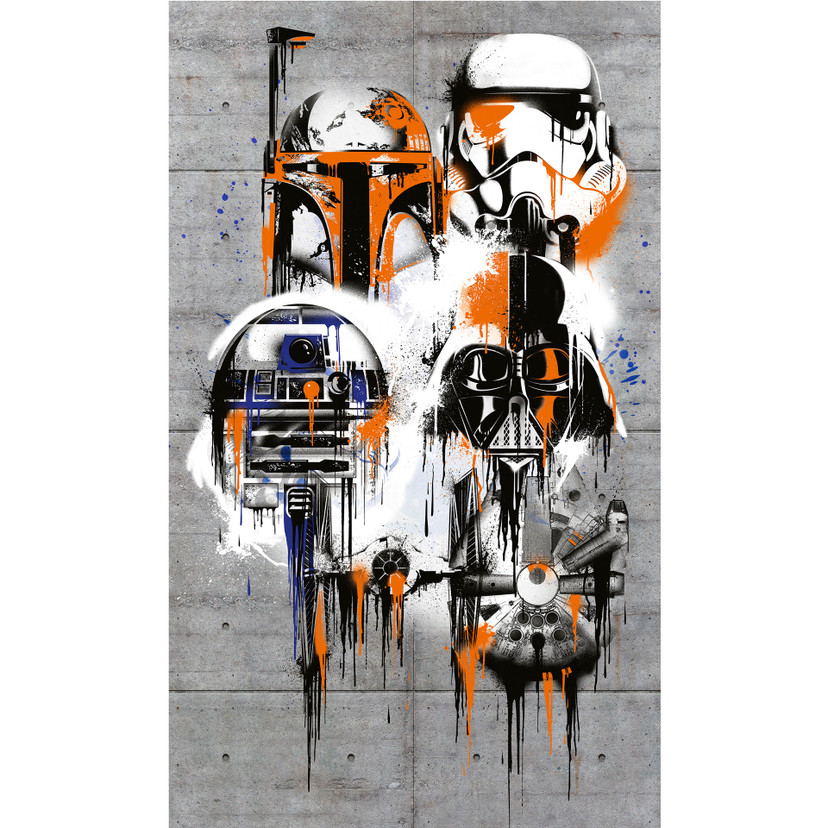 Tapetpanel i fleece -  Star Wars Celebrate The Galaxy