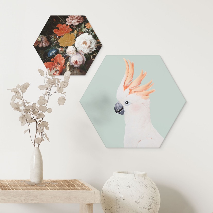 Esagono Alu-Dibond Ritratto di animale cacatua rosa - Sisi & Seb