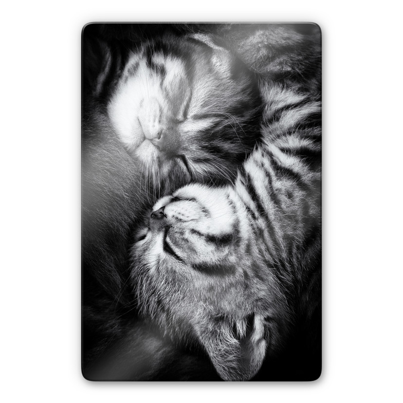 Tableau sur verre Jancova - Sweet Kitten