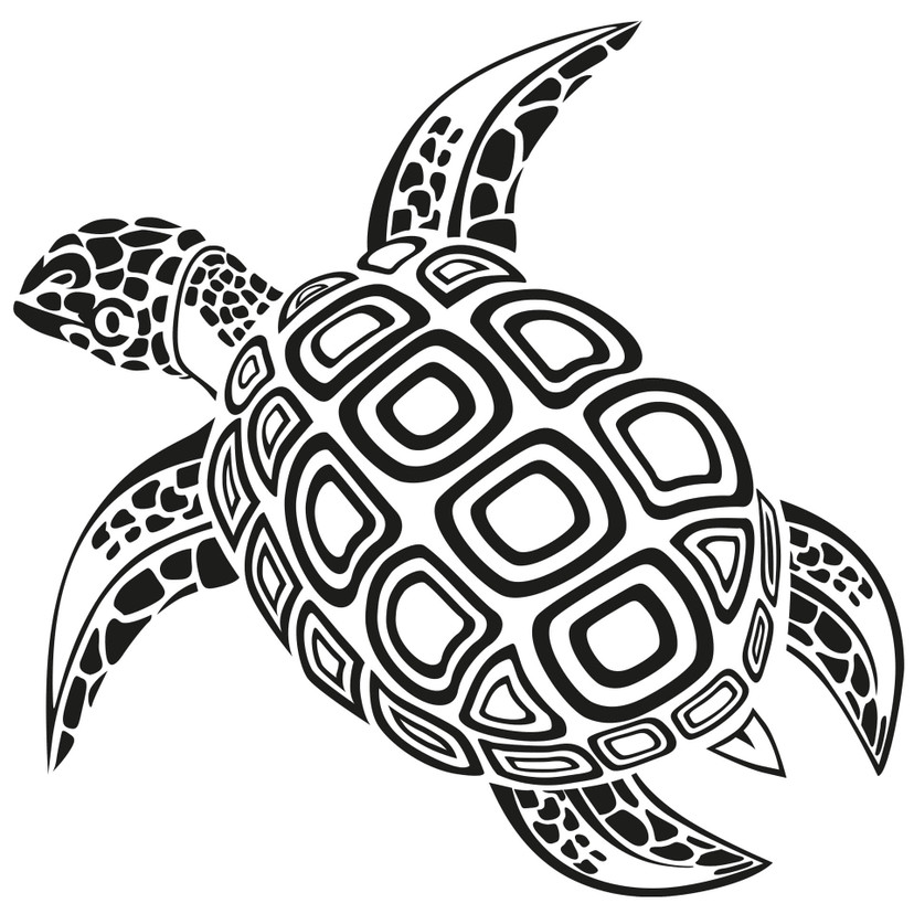 Wallsticker Skildpadde