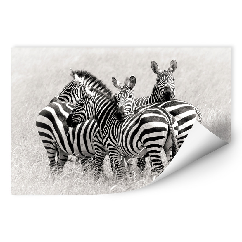 Zelfklevende Poster - Trubitsyn - Zebra's in de Savanne