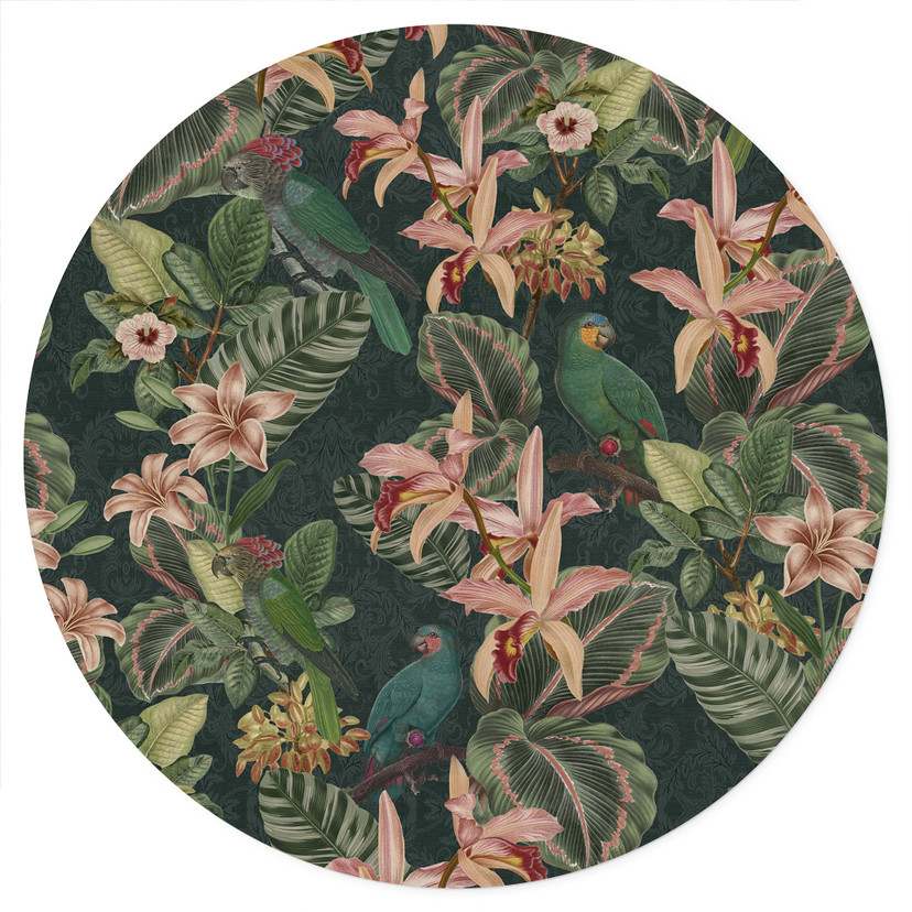 Naklejka na ścianę dżungla z papugami noc zielona - Bloomery Decor - Okrągła