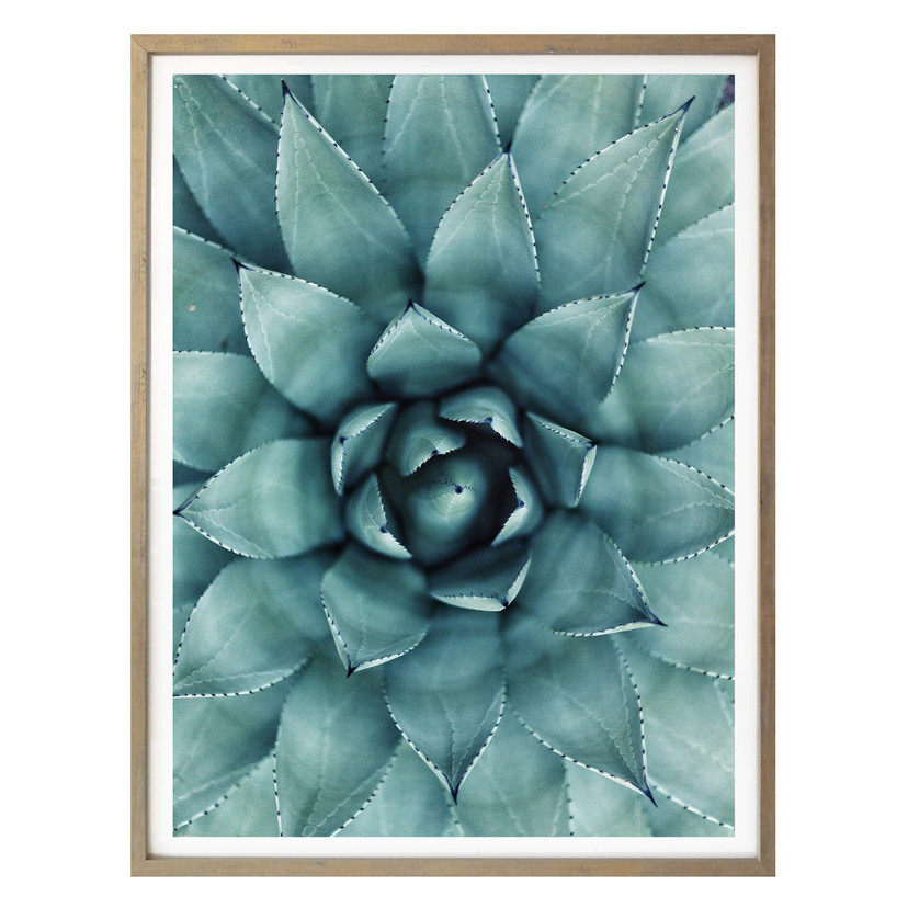 Plakat Agave 02