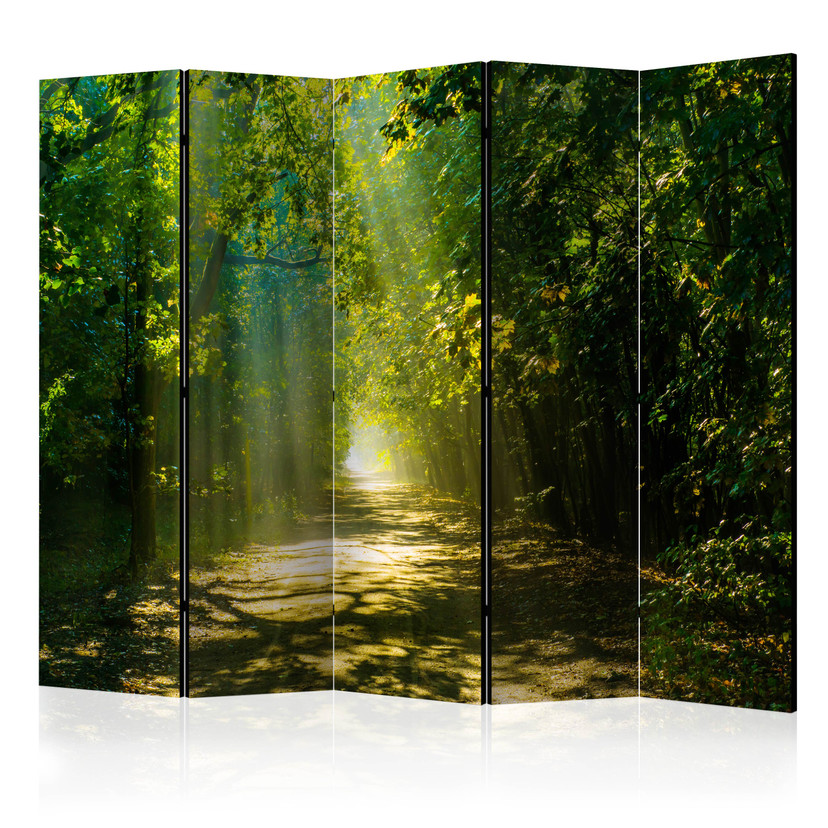 Schermo divisorio - Strada alla luce del sole, 3 pezzi