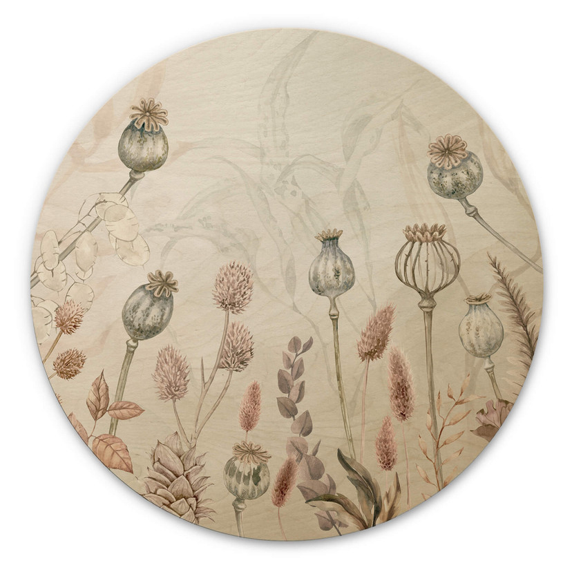 Billede af træ Sir Edward - Tørrede blomster hvid - Rund