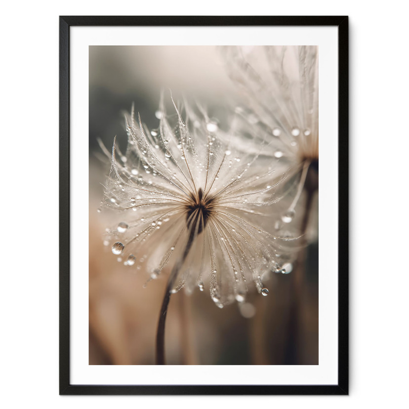 Plakat Mniszek lekarski w porannej rosie - Treechild