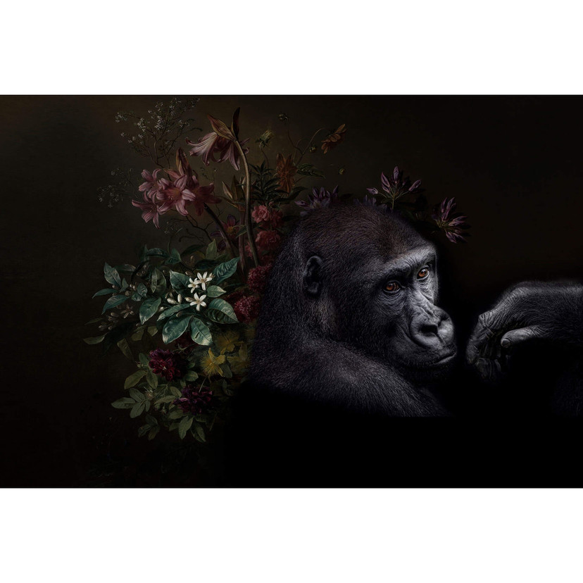 Fototapeta Livingwalls Walls by Patel wildlife 3