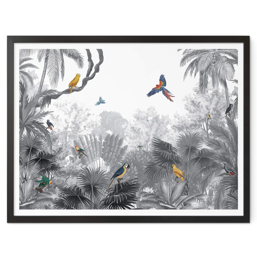 Poster Kikki Belle - Tropische Vögel schwarz-weiß