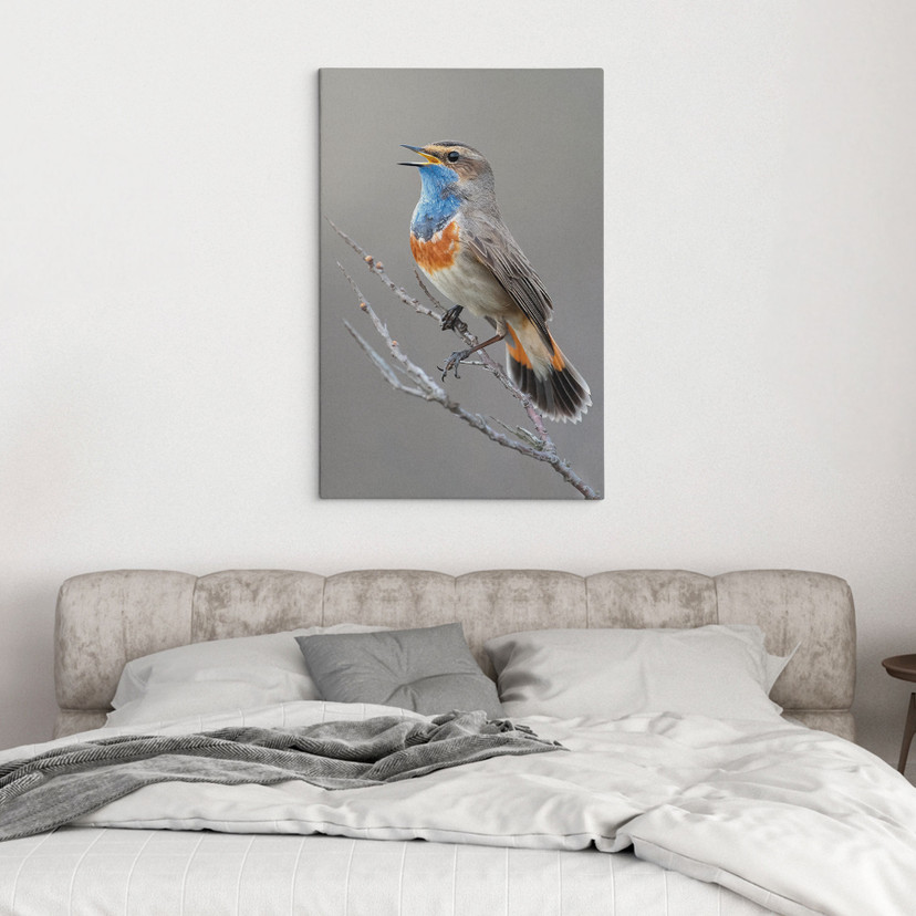 Canvas schilderij zingende blauwborst - van Duijn