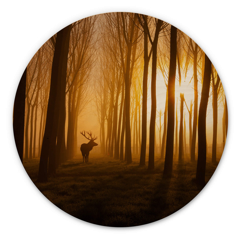Tableau sur bois Norim - Il était une fois - Rond