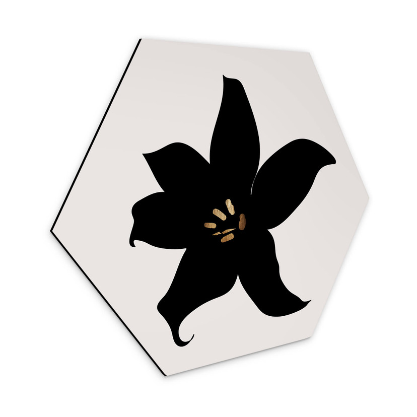 Esagoni Alu-dibond Kubistika - Orchidea nera