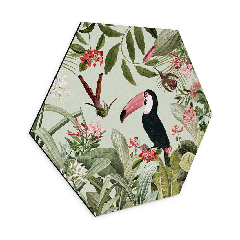 Hexagon Dibond Tukan i et jungleparadis - UN Designs