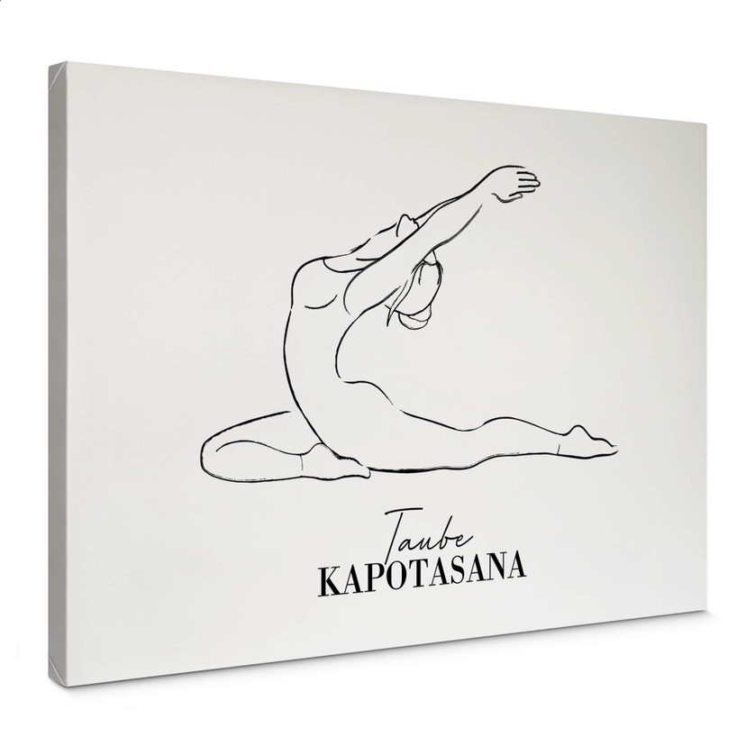 Obraz na płótnie Yoga - Gołąb - Line Art
