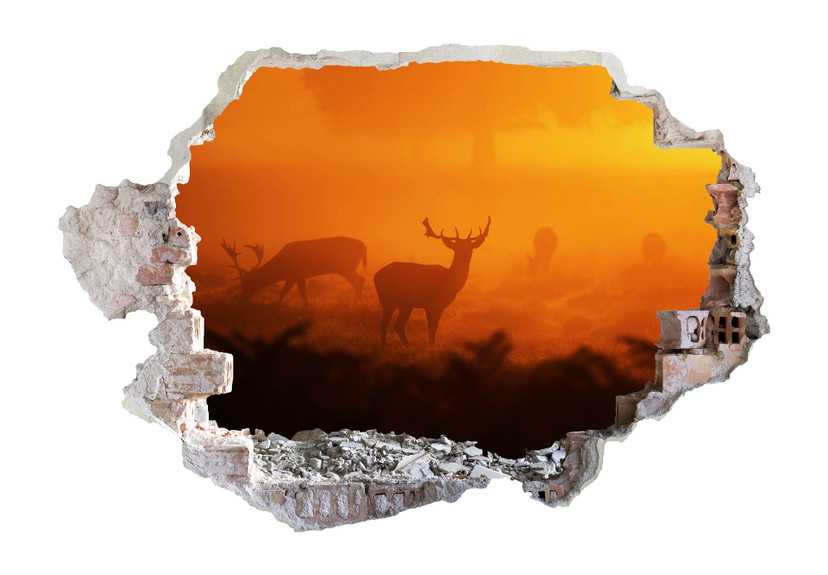 3D Wallsticker hjort i solnedgang
