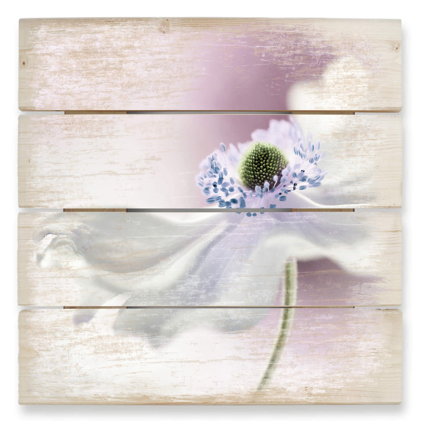 Obraz drewniany Disher - Anemone Breeze - 40x41,5 cm