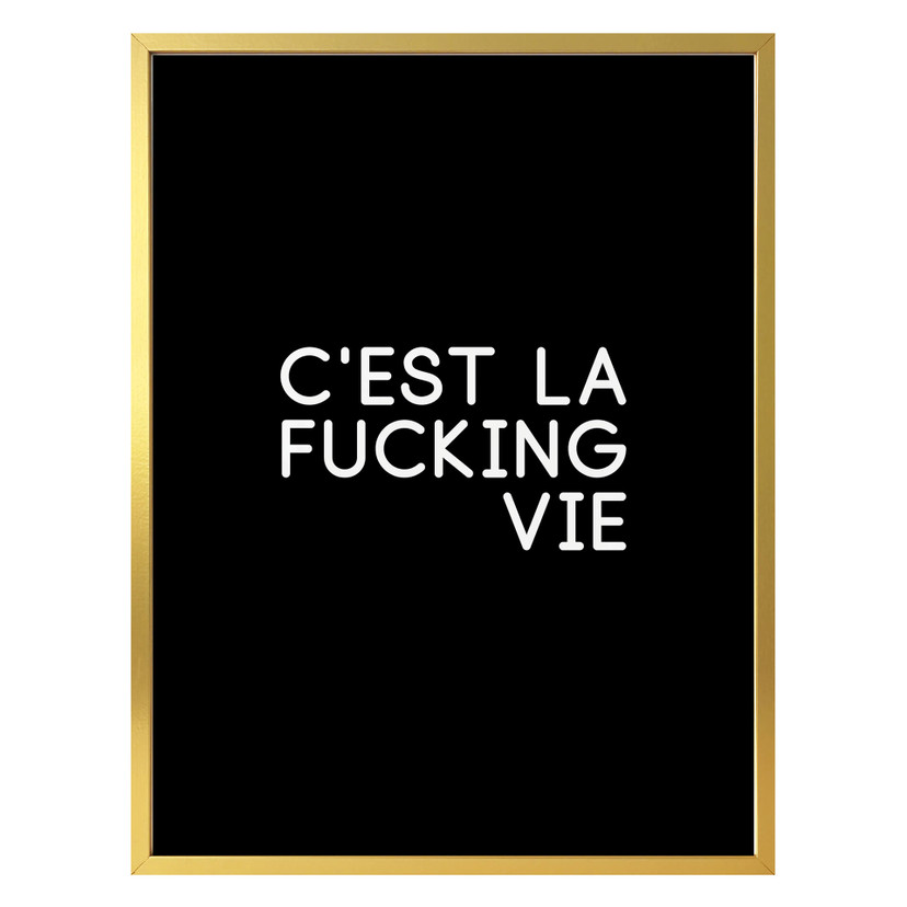 Plakat C'est la fucking vie