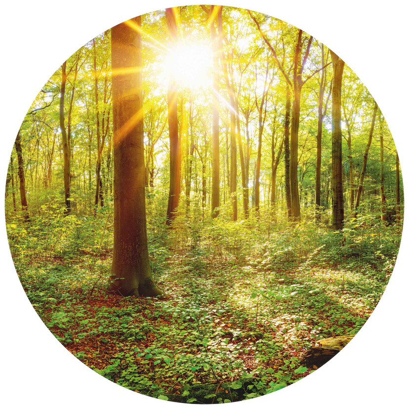Papier peint photo Au cœur de la forêt - Rond - papier peint intissé/papier peint intissé autocollan