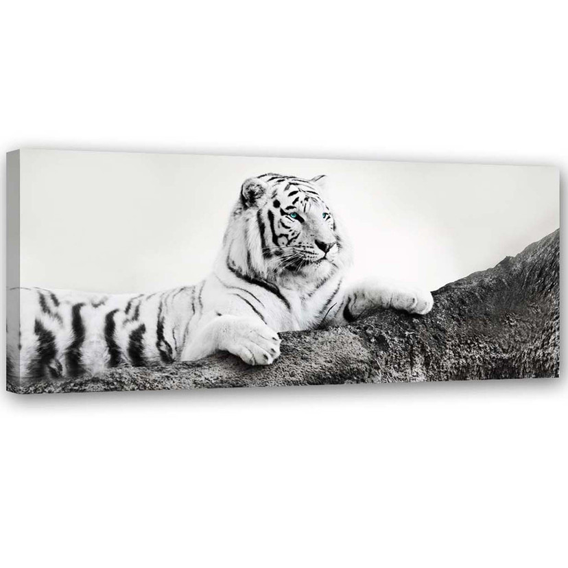 Canvasbillede, Tiger dyreliv natur