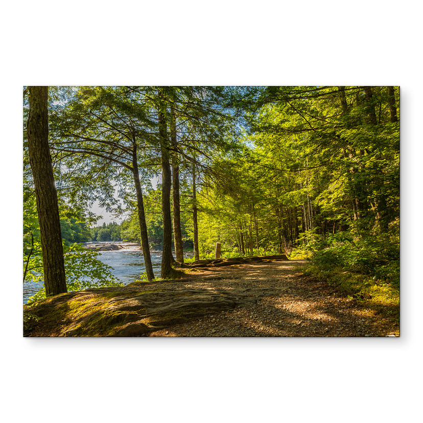 Wandbild Waldweg am Fluss - Alu-Dibond