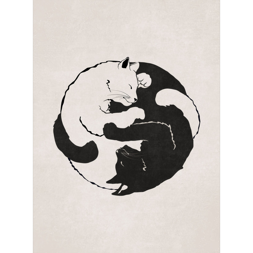 Fototapeta koty Ying & Yang - Tunaboylu