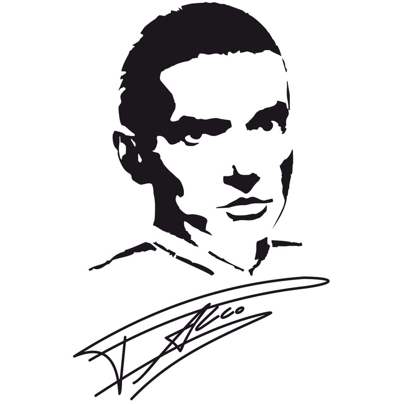 Wallsticker Falco