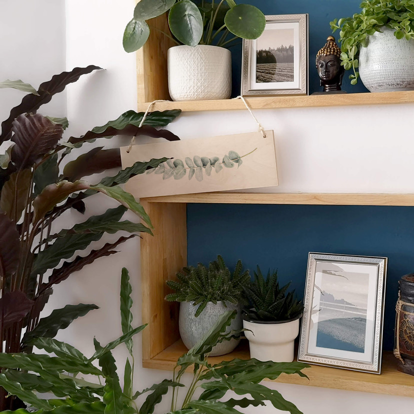Panneau en bois Sisi & Seb - Eucalyptus - Branche