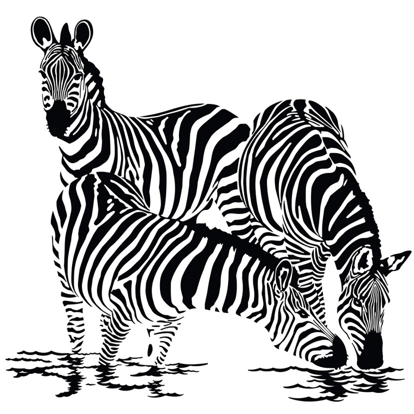 Wallsticker Zebraer 2