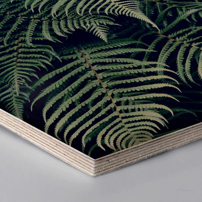 Hexagon hout - Varen 02