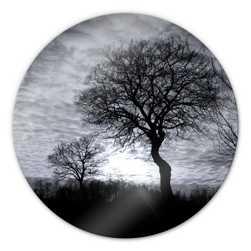 Tableau en verre - Coucher du soleil en noir et blanc - rond