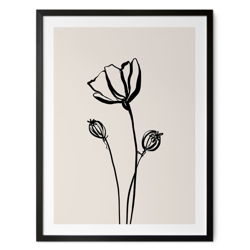 Poster Lijnkunst Klaproos - Katten & Stippen