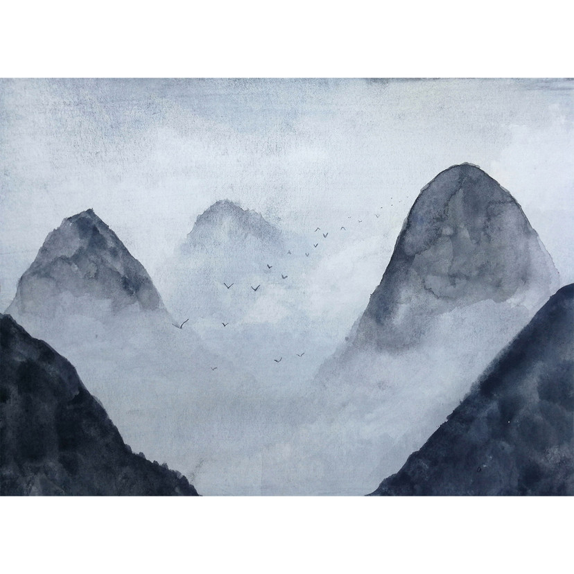 non-woven tapet Misty Rocks fugle natur fototapet Designwalls i grå og hvid