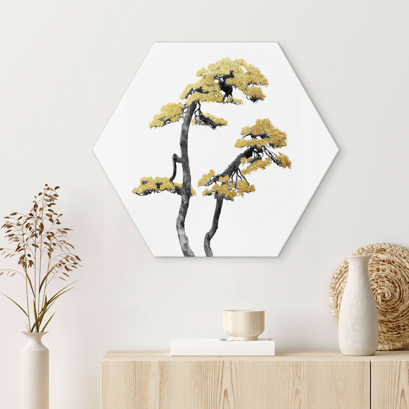 Hexagon Dibond Amini - Bonsai