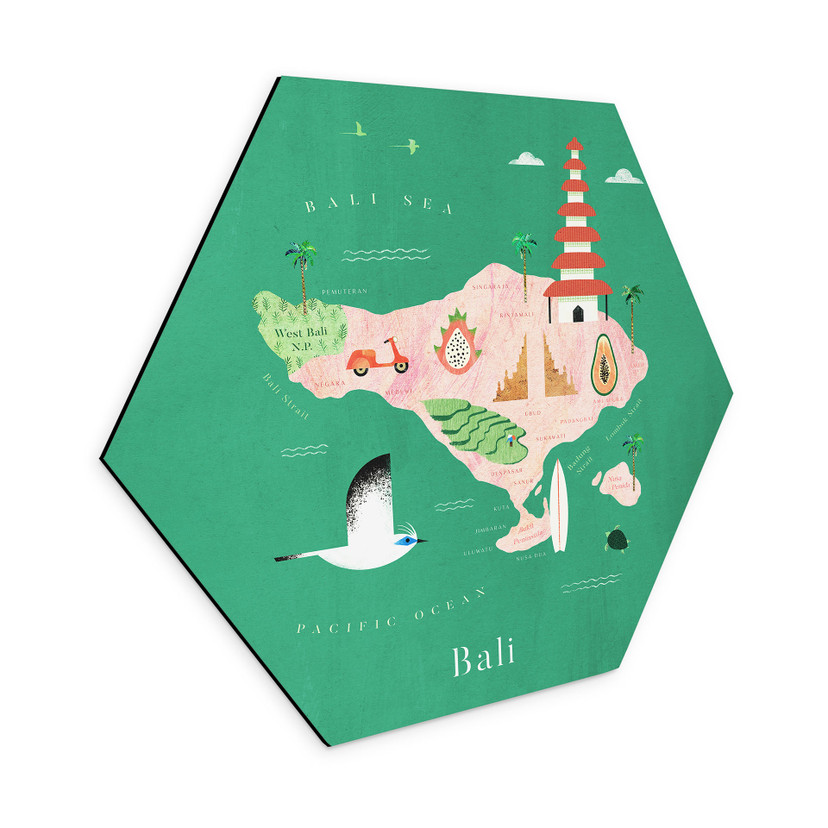 Hexagon Dibond Kort over Bali - Rivers