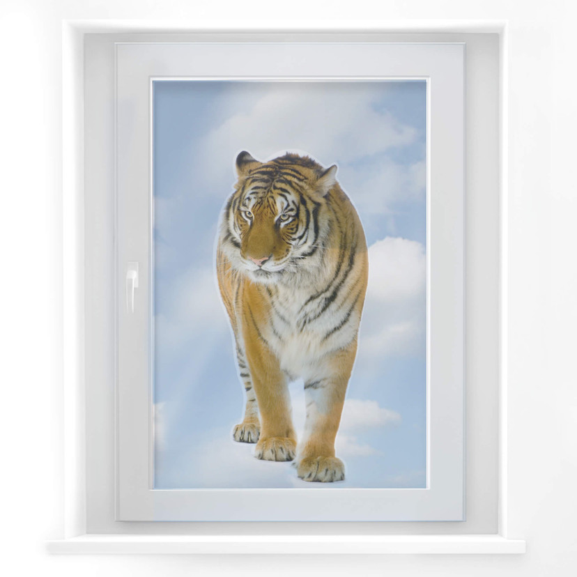 Fototapeta na okno Real Tiger