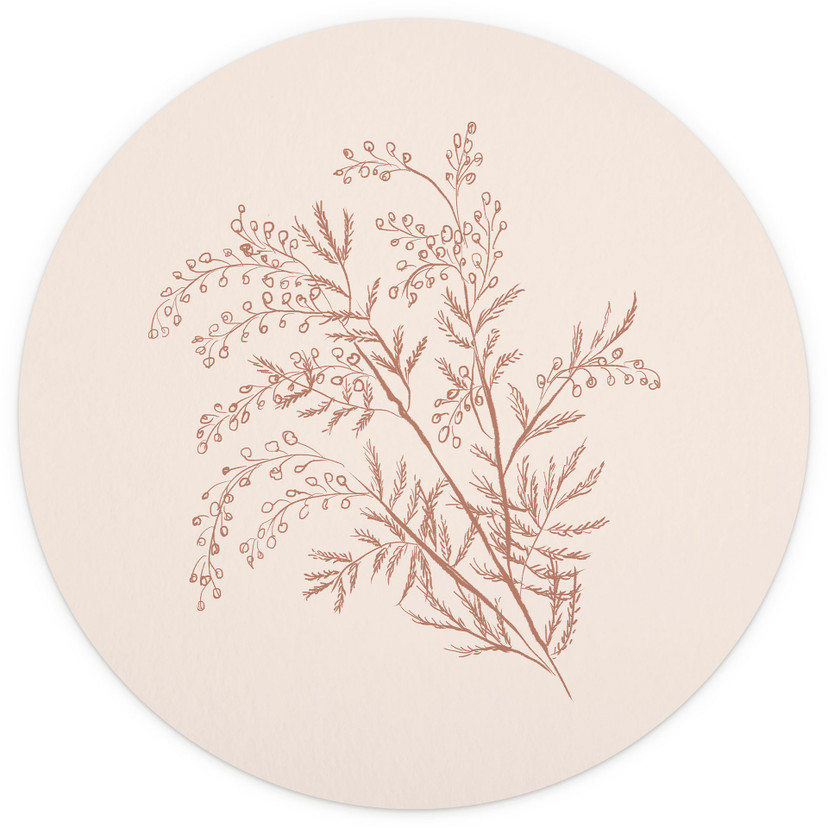 Gałązka akacji w kolorze mokka | Fototapeta Botanicals - ilustracja anyżu - okrągła - tapeta flizeli