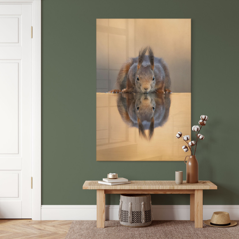 Acrylglasbild Eichhörnchen am Wasser - van Duijn