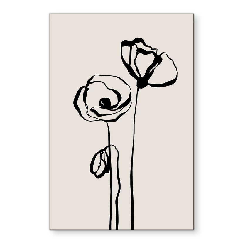 Wandbild Line Art Zwei Mohnblumen - Cats & Dotz - Alu-Dibond