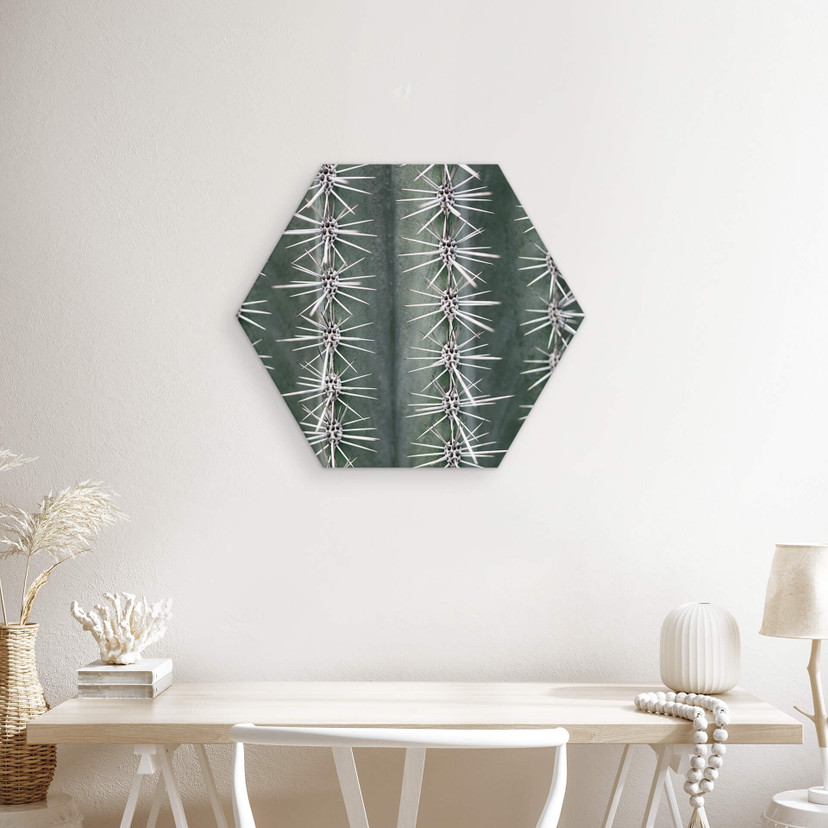 Hexagone - alu-Dibond 1X Studio - Cactus