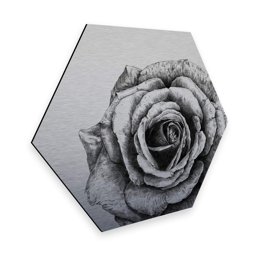 Hexagon - Alu-Dibond med sølveffekt - Kools - Rose