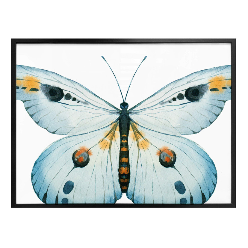 Plakat Kvilis - Butterfly 03