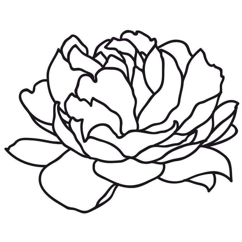 Muursticker Peony Blossom 02