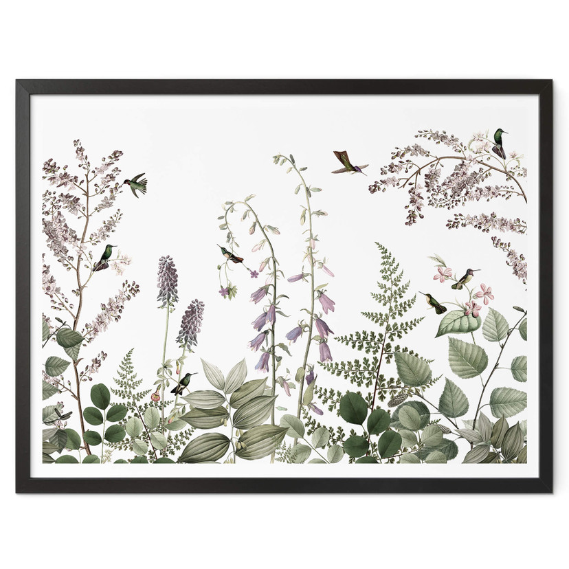 Plakat Sir Edward - Kolibry w ogrodzie