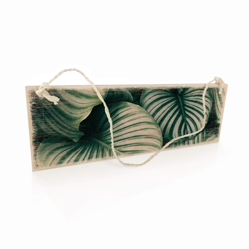 Houten Bordje - Urban Jungle Calathea Orbifolia