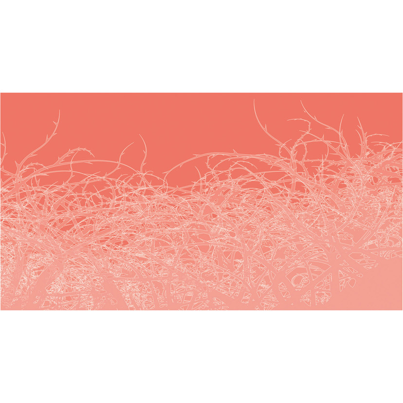 Architects Paper Papier peint photo Atelier 47 Thorn Style rose, rouge