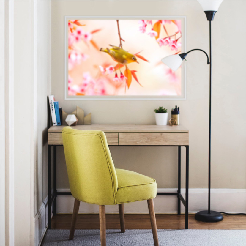 Wallprint W - Vogelgezwitscher in der Kirschblüte