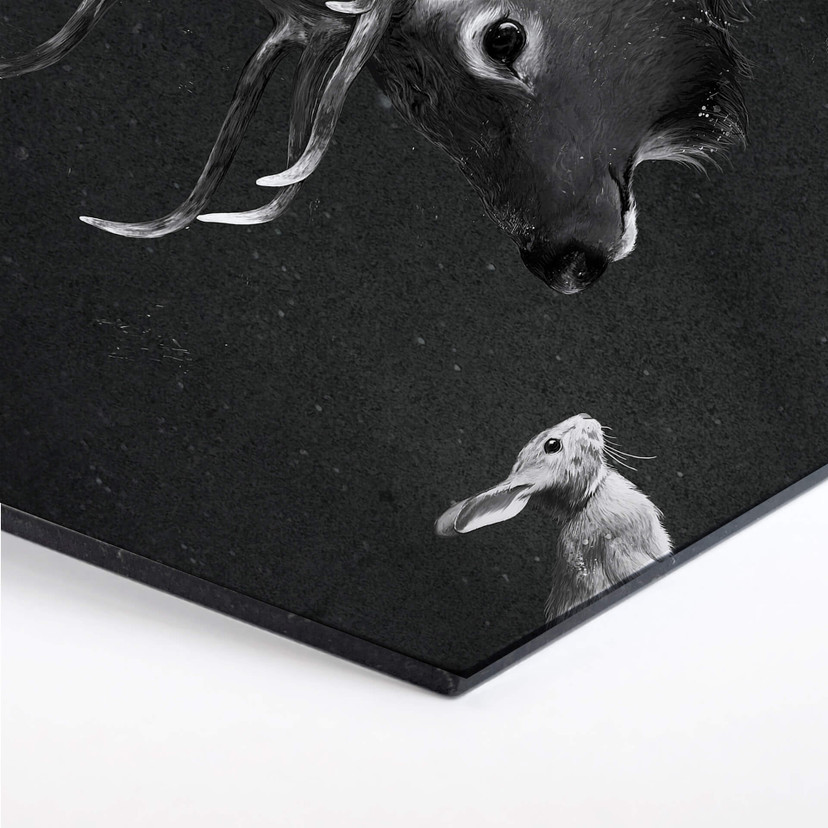 Hexagone -Alu Dibond Graves - Cerf et lapin