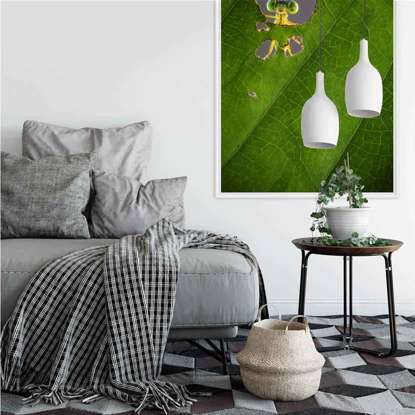 Wallprint Wilianto - Hello little Friend