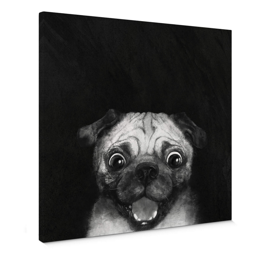 Obraz na płótnie Graves - Snuggle Pug